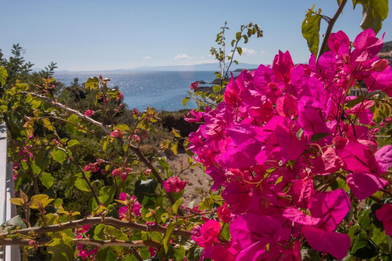 Sea View Villa 2 Skala  Zewnętrze zdjęcie
